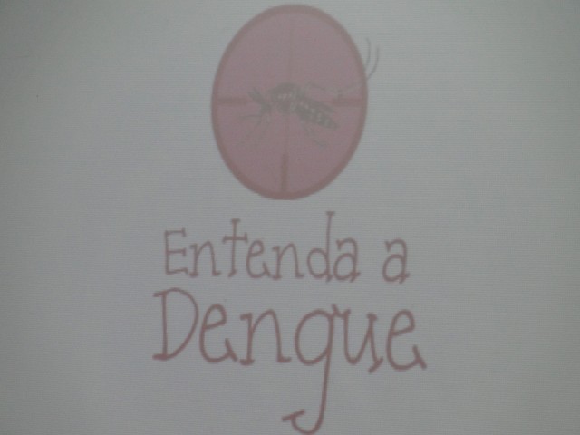 Combate à Dengue - 2013