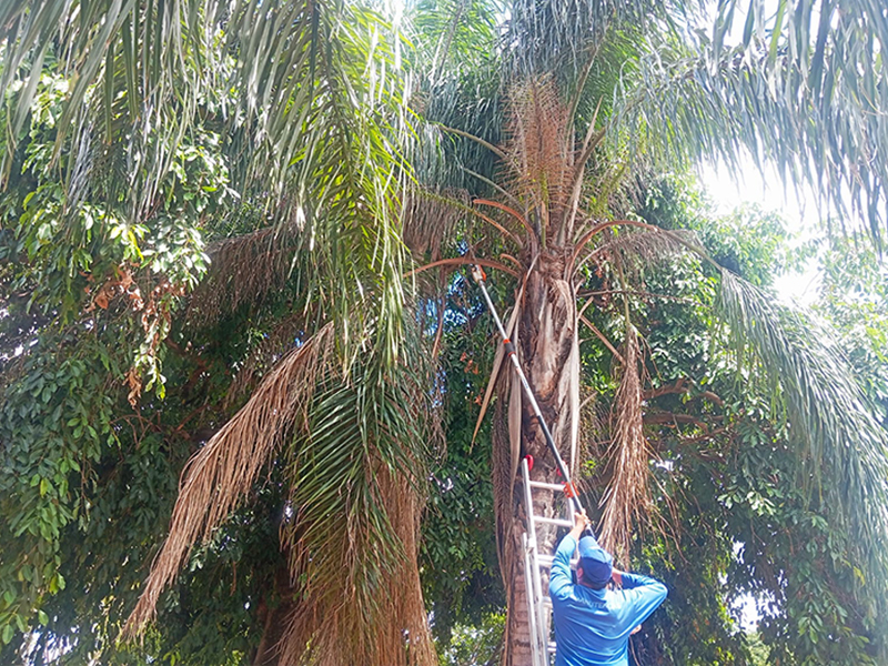 Final de semana é tempo de cuidar das escolas!