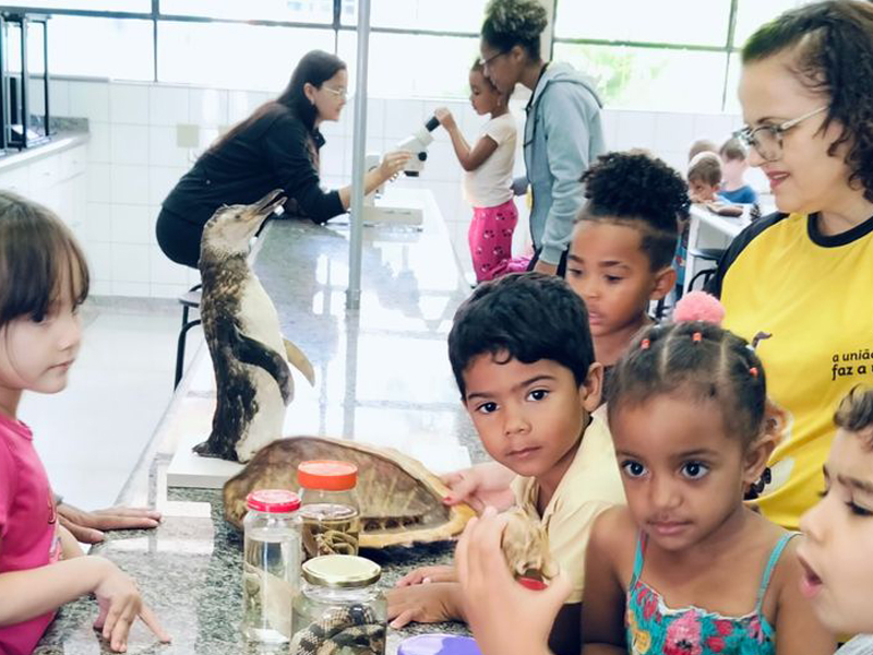 A sala de aula vai muito além das quatro paredes!