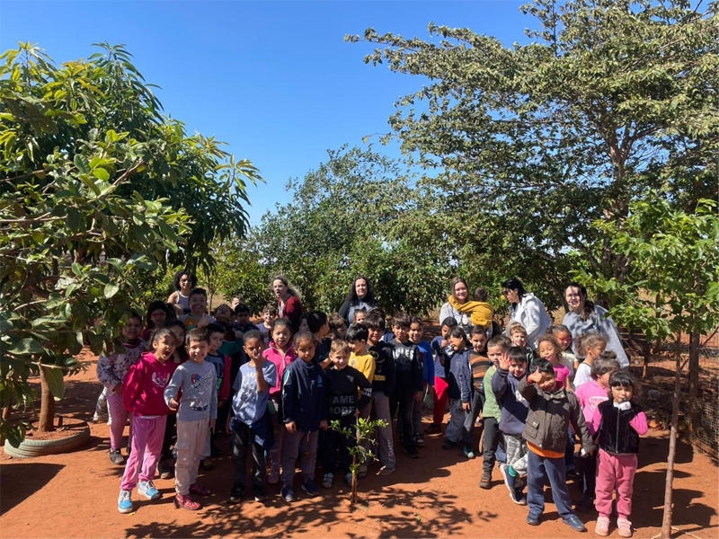 Educação Infantil vive experiência encantadora no Sítio Arca de Noé com o Projeto Desemparedamento