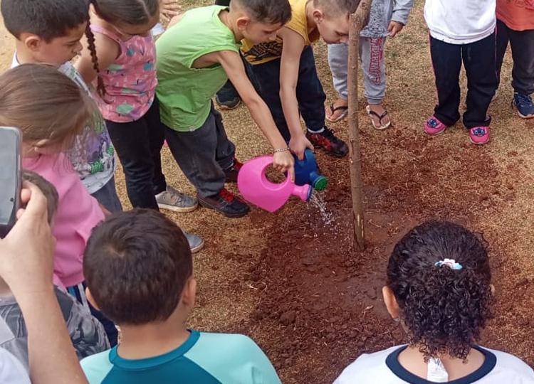 EMEI “O Pequeno Polegar” inicia Mês da Árvore com plantio simbólico realizado por alunos