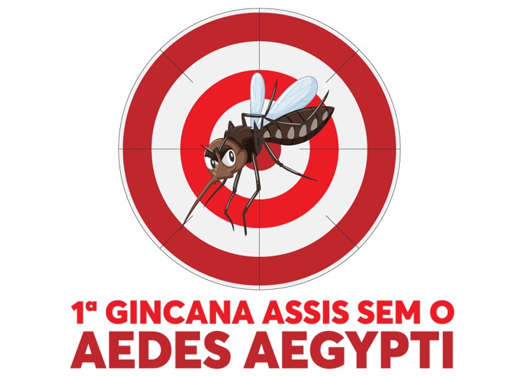Veja os vdeos da 1 Gincana Assis sem Aedes