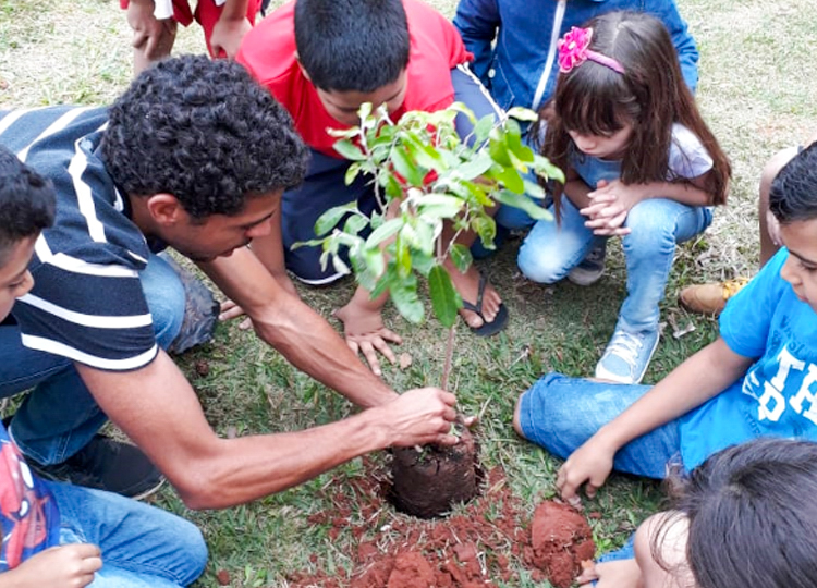Plantio de mudas encerra atividades alusivas ao Meio Ambiente na escola Coraly 