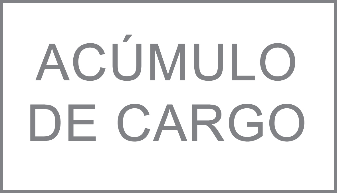 Acmulo de Cargo VIII